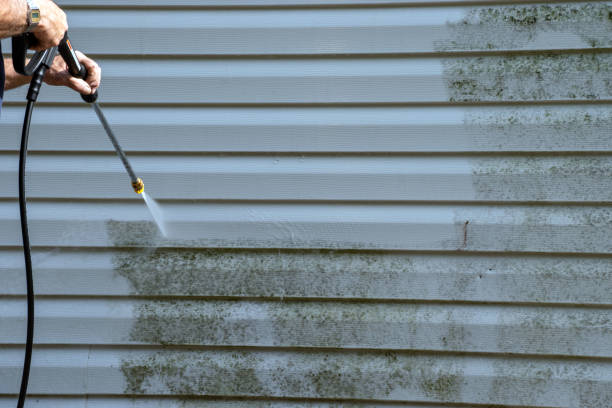 Best Insulated Siding Installation  in Claremont, NH